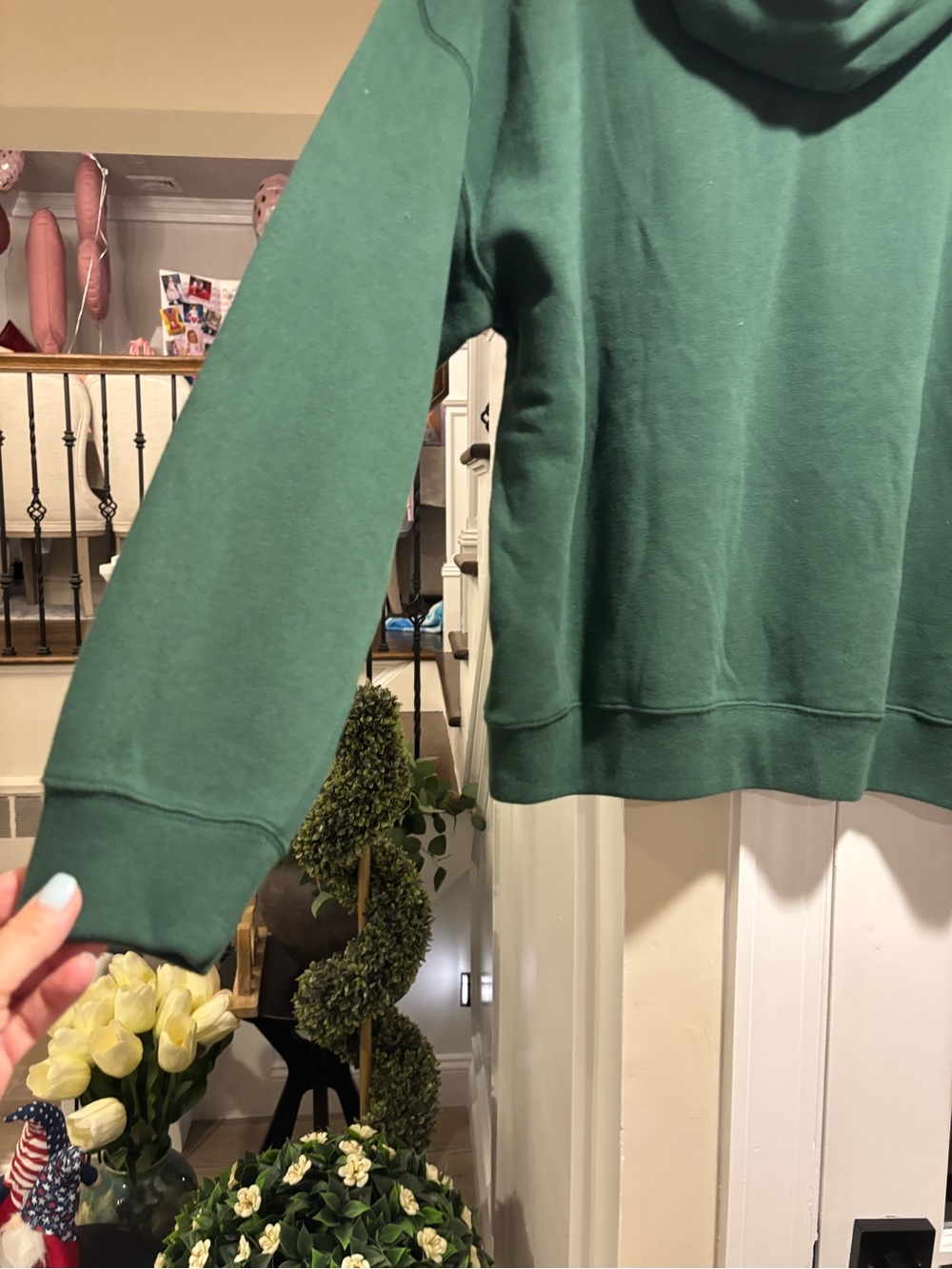 Hollister Green "Senior" Hooded Sweatshirt - Size Medium NWT - Picture 2 of 10